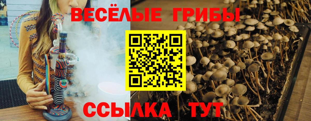 Лабинск  Галлюциногенные грибы Psilocybine cubensis  Вход с VPN  Псилоцибиновые грибы Psilocybe 